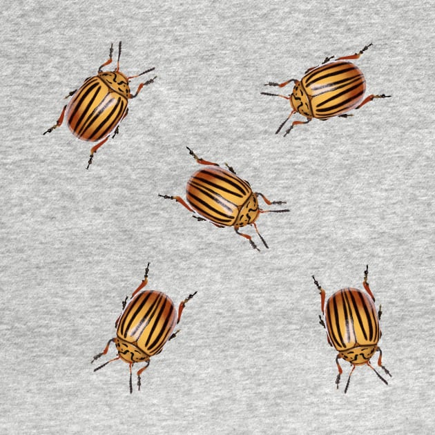 Potato beetles by JakoRila